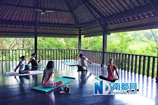一些度假酒店还提供了教学瑜伽的服务。　C F P供图